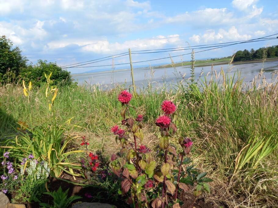 2 Quay Road, Killala. Stunning Sea Front Cottage Экстерьер фото